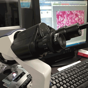 300x300_microscope_IMG_4662